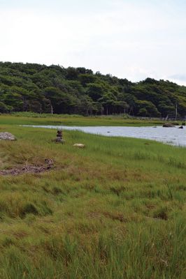 Osprey Marsh
The Sippican Lands Trust has acquired a new piece of land off Point Road, overlooking beautiful Planting Island Cove. The Howland family has gifted “Osprey Marsh” to the Town of Marion and the SLT has big plans to eventually make this a handicapped accessible open space for all to enjoy. Photos by Jean Perry
