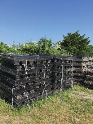 Mattapoisett Town Oyster Farmer
Bill Mansfield has become the de facto Mattapoisett town oyster farmer, overseeing the town’s oyster farming program since 2014. His efforts coupled with a crew of about 20 other volunteers has taken on the labor-intensive work of rearing young oysters to maturity in Pine Island Pond. When the shellfish beds are open in the fall, recreational license holders will reap the benefits. Photos by Marilou Newell
