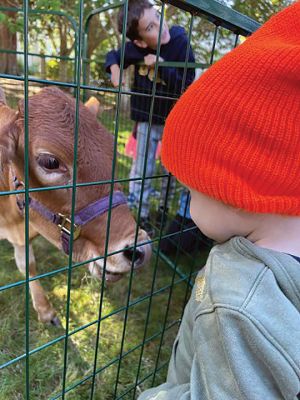 Heifer International 
Meeting a new friend from Heifer International at Elizabeth Tabor Library. Photo by Suzie Peterson
