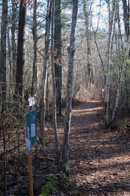 Pierson Woods 
In Marion, Pierson Woods (the Sippican Lands Trust property off Point Road) is presently hosting the TTAR story walk, “A Day With No Words,” based on the book by Tiffany Hammond and illustrated by Kate Cosgrove. The Pierson Woods story walk is sponsored by the Marion Cultural Council. Photos by Mick Colageo and Marilou Newell
