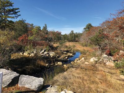 Mattapoisett Land Trust 
The Mattapoisett Land Trust received confirmation of a Municipal Vulnerability Preparedness Grant for Pine Island Watershed. The state fund awarded to MLT, $960,000, will go towards the acquisition of over 100 acres of prime woodlands, wetlands, and wildlife habitat from private owners while protecting the significant acreage from future development. MLT will need to complete the purchase price of approximately $1.2 million through fundraising and donations. Photos courtesy of the Mattapoisett Land Trust
