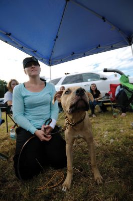 Rochester Dog Show
Dozens of dogs and their humans gathered in Rochester last weekend for a show focusing mainly on pit bulls, an opportunity to dispel prejudices against the breed and highlight some of their qualities. Photos by Felix Perez. 
