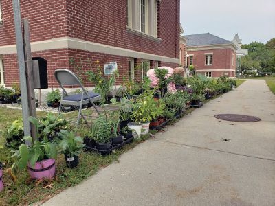 Friends of Mattapoisett COA
The Friends of Mattapoisett COA held their annual plant sale last Saturday. The plants are from members’ gardens and are cared for weeks prior to the sale. It was a great effort by the members of the Friends of Mattapoisett COA who dedicate many hours to the success of this and every event. Special thanks to Paula Cobb for quarterbacking this effort. Photo courtesy of Don Bamberger.
