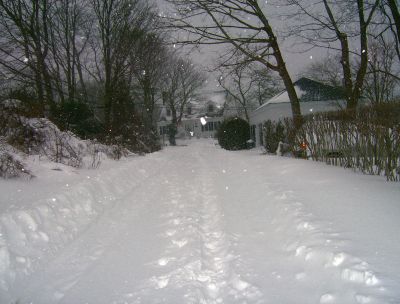 Winter Wonderland
Cross-country skiers took their chance to enjoy a quiet street in Mattapoisett during the December 20, 2009 noreaster that blanketed the region under almost 2 feet of snow. Photo by Jerry Plante.
