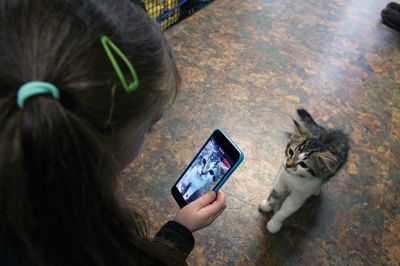 Octopurrfest
The Rochester cat shelter “It’s All About the Animals” held its 2nd Annual Octopurrfest on Sunday, October 2. Raising over $7,000, owner/operator Pam Robinson said this year’s event was “absolutely over the top!” The shelter is in the process of building an addition to create a cat room and a porch. “I cannot thank everyone enough for their wonderful donation and participation,” said Robinson. Photos by Colin Veitch
