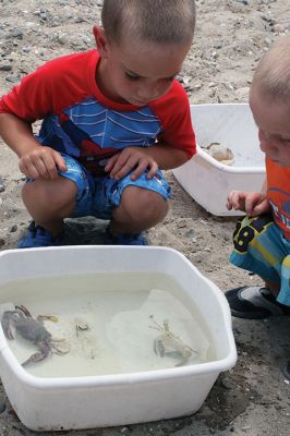 Buzzards Bay Coalition
Cassie Lawson of the Buzzards Bay Coalition led a group of 30 adults and children through the rigors of shellfishing on July 22 at the Mattapoisett town beach located adjacent to the YMCA camp. Lawson explained the physiology of the bivalves, how to use a shellfish rake, and the importance of obtaining a permit and being mindful of the difference between open and closed shellfish beds. Photo by Marilou Newel
