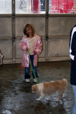 Rabies Clinic
Another dog struts away from the Mattapoisett Fire Station on October 18 after receiving a vaccination at the 2009 Rabies Clinic. Photo by Anne OBrien-Kakley
