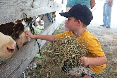 The 2015 Rochester Country Fair
The 2015 Rochester Country Fair was the place to go last week for family fun and good old-fashioned country entertainment.  Photo by Colin Veitch
