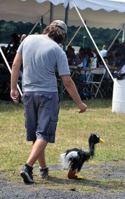 Farmers, Families, Fiddles 
Along with the sun on Saturday came the crowds to the Rochester Country Fair. Kid’s activities that were canceled on Friday resumed on Saturday under a blue sky. Photos by Jonathan Comey
