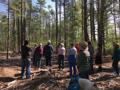 Rochester Land Trust
On May 25, the Rochester Land Trust hosted Foresters Phil Benjamin and Tom Farell who gave a logging walk and talk at the 20-acre Church’s Wildlife Preserve located off Marion Road. Benjamin stressed the importance of removing trees to open the canopy for life-sustaining sunlight. Photos by Marilou Newell
