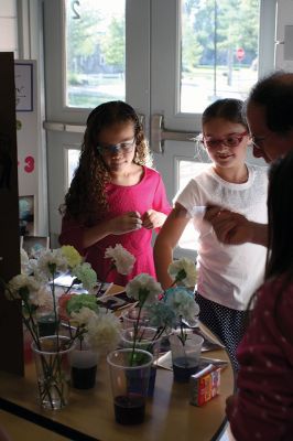 Sciencing
Everyone was ‘sciencing’ on May 21 at the Rochester Memorial School annual Science Fair. Students staff, and parents packed the school cafetorium to explore the fascinating findings of many of the students’ unique science project ideas. Photos by Jean Perry
