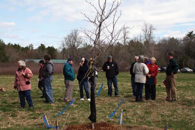 Tree City USA
The Town of Rochester is now a Tree City USA, and Town Administrator Michael McCue hosted a tree planting on April 24 to mark the town’s first Arbor Day celebration. About 25 people attended the presentation of the American beech tree at Church’s Field. Photos by Jean Perry
