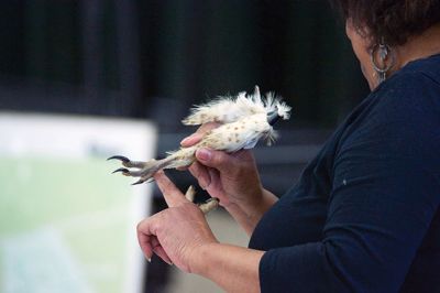 Raptors
Director of New England Raptor & Reptile Exhibits Marla Isaac introduced her feathered friends during the Mattapoisett Lands Trust’s annual meeting on Saturday, May 14. The audience got to meet a number of rescued owls, including Nanook the snowy owl, Rachel the barn owl, Athena the great-horned owl, and Babe the barred owl. Photos by Colin Veitch
