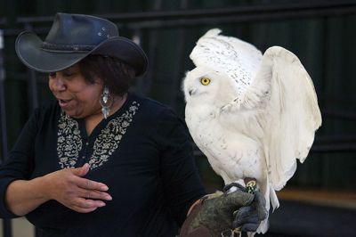 Raptors
Director of New England Raptor & Reptile Exhibits Marla Isaac introduced her feathered friends during the Mattapoisett Lands Trust’s annual meeting on Saturday, May 14. The audience got to meet a number of rescued owls, including Nanook the snowy owl, Rachel the barn owl, Athena the great-horned owl, and Babe the barred owl. Photos by Colin Veitch
