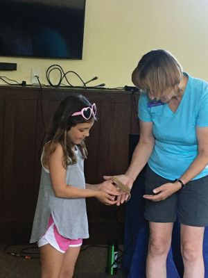 Reptiles
Joy Marzolf brought her traveling troop of reptiles to the Mattapoisett Free Library on July 27. Children learned that some reptiles are threatened by plastic pollution and what they could do to help them. Opportunities included touching a crocodile, holding a snake and cuddling a lizard. Photos by Marilou Newell
