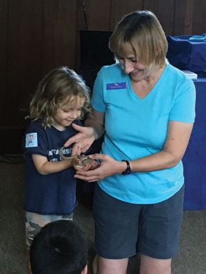 Reptiles
Joy Marzolf brought her traveling troop of reptiles to the Mattapoisett Free Library on July 27. Children learned that some reptiles are threatened by plastic pollution and what they could do to help them. Opportunities included touching a crocodile, holding a snake and cuddling a lizard. Photos by Marilou Newell
