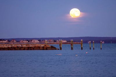 Hunter's Supermoon
Robert Price took this fabulous photo of the Hunter's Supermoon over Harbor Beach (Pocasset in background). October 24, 2024 edition
