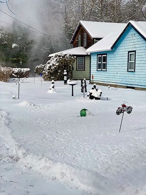 Snow Scene
Photo by Robert Pina
