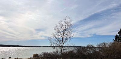 Harbor Scene
Photo by Ruth Griffin
