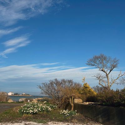 oint Connett
Ruth A. Griffin shared this photo of the Bay from Point Connett.
