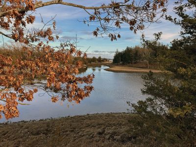 Mattapoisett Bike Path
Ruth Griffin shared this photo taken from the Mattapoisett Bike Path.
