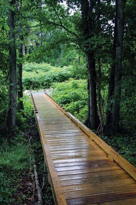 Osprey Marsh Accessible Boardwalk
Despite a downpour perfectly timed for its planned gathering on Friday off Point Road in Marion, the Sippican Lands Trust celebrated the completion of the new Osprey Marsh Accessible Boardwalk. Executive Director Jim Bride and president Alan Harris held a live Zoom meeting for those who could not attend, and some of the donors for the project assisted in the ribbon-cutting. The boardwalk is open by appointment. See story by Marilou Newell. Photo by Mick Colageo
