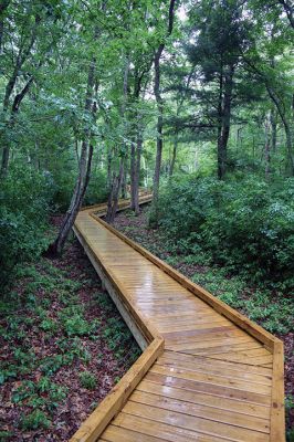 Osprey Marsh Accessible Boardwalk
Despite a downpour perfectly timed for its planned gathering on Friday off Point Road in Marion, the Sippican Lands Trust celebrated the completion of the new Osprey Marsh Accessible Boardwalk. Executive Director Jim Bride and president Alan Harris held a live Zoom meeting for those who could not attend, and some of the donors for the project assisted in the ribbon-cutting. The boardwalk is open by appointment. See story by Marilou Newell. Photo by Mick Colageo
