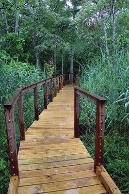 Osprey Marsh Accessible Boardwalk
Despite a downpour perfectly timed for its planned gathering on Friday off Point Road in Marion, the Sippican Lands Trust celebrated the completion of the new Osprey Marsh Accessible Boardwalk. Executive Director Jim Bride and president Alan Harris held a live Zoom meeting for those who could not attend, and some of the donors for the project assisted in the ribbon-cutting. The boardwalk is open by appointment. See story by Marilou Newell. Photo by Mick Colageo
