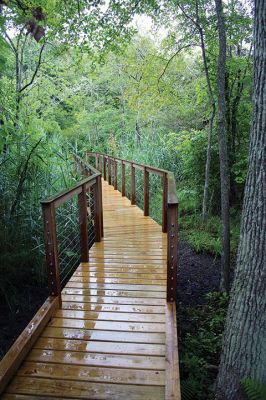 Osprey Marsh Accessible Boardwalk
Despite a downpour perfectly timed for its planned gathering on Friday off Point Road in Marion, the Sippican Lands Trust celebrated the completion of the new Osprey Marsh Accessible Boardwalk. Executive Director Jim Bride and president Alan Harris held a live Zoom meeting for those who could not attend, and some of the donors for the project assisted in the ribbon-cutting. The boardwalk is open by appointment. See story by Marilou Newell. Photo by Mick Colageo
