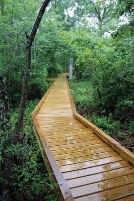 Osprey Marsh Accessible Boardwalk
Despite a downpour perfectly timed for its planned gathering on Friday off Point Road in Marion, the Sippican Lands Trust celebrated the completion of the new Osprey Marsh Accessible Boardwalk. Executive Director Jim Bride and president Alan Harris held a live Zoom meeting for those who could not attend, and some of the donors for the project assisted in the ribbon-cutting. The boardwalk is open by appointment. See story by Marilou Newell. Photo by Mick Colageo
