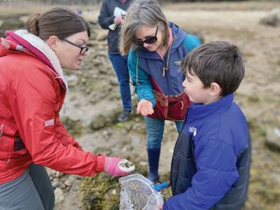 Sippican Land Trust
Adults and children enjoyed Sunday’s Tidal Pool Exploration at Brainard Marsh with the Sippican Lands Trust. Photos courtesy of Alan Harris
