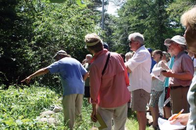  Sippican Lands Trust 
Russ Cohen, well-known and highly respected expert of wild edible plants, pointed out local vegetation along the trail at Brainard Marsh to a group during the Sippican Lands Trust and Marion Garden Group Edible Foraging Ramble on July 18. Photos by Marilou Newell
