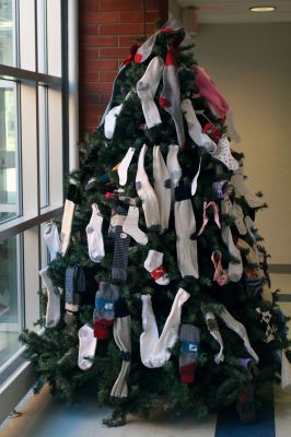 Giving Tree
Members of Jane Tougas Grade 8 Enrichment class created the Giving Tree, which stood at the entrance of Old Rochester Regional Junior High School. Donated socks adorned the Christmas tree before being sent off to an area charity to benefit those in need on December 18, 2009. Photo by Anne OBrien-Kakley.
