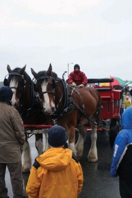 Santa's Arrival
Marion children gave a rock stars welcome to Santa Claus, who arrived at Marions Annual Holiday Stroll by boat on December 13. The pouring rain didnt stop Santa from spreading candy and holiday cheer to the crowd of exciting children. Clydesdale horses waited patiently to take visitors on a stroll through the village, and the town Christmas tree was lit at Bicentennial Park. Photo by Anne OBrien-Kakley.
