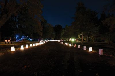 Salty’s Silvery Moon Soiree
Dunseith Gardens in Mattapoisett was lit up the night of October 25 with fire and imagination at the 8th annual Salty’s Silvery Moon Soiree, hosted by the Mattapoisett Land Trust. Photo by Felix Perez
