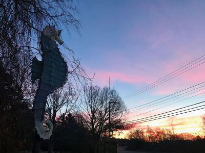 Salty Sunrise
Cecile Callahan captured a recent sunrise with Salty the Seahorse.
