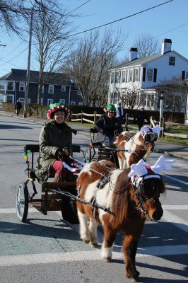 Santa Run 
Saturday, December 7, was the Santa Run 5k through the village of Mattapoisett. Usually held in New Bedford, race organizer Geoff Smith moved the race to Mattapoisett, flooding the village streets with hundreds of Santas – and a few Christmas miniature horses, as well. Photos by Jean Perry
