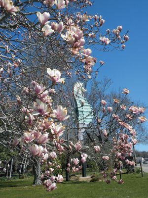 Salty the Seahorse 
Salty the Seahorse stands above the Mattapoisett Land Trust property on the corner of Route 6 and North Street. Photo by Paul Lopes. April 19, 2012 edition
