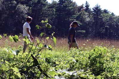 Shaw Farm Trail
July 31 was a big day for the Buzzards Bay Coalition, the Towns of Fairhaven and Mattapoisett, and the entire South Coast when 416 acres of farmland and conservation land were added to the Nasketucket Bay Conservation Project, which was formally completed with the addition of the Shaw Farm Trail that now links the bike path with the Nasketucket Bay State Reservation. Photos by Colin Veitch and Jean Perry
