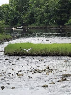 Mattapoisett
Photo by Jen Shepley
