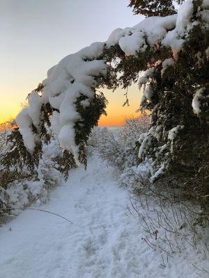 Snowtime
Photo by Jen Shepley
