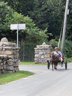 Cricket
Cricket the horse heads to Ned's Point. Photo by Jennifer F. Shepley
