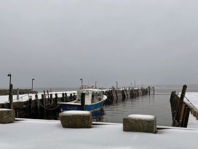 Snow in Mattapoisett
Photo by Jen Shepley
