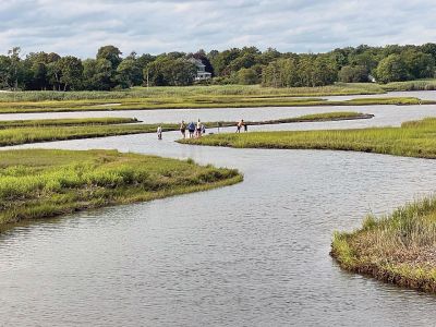 Marsh Photo
Photo by Jen Shepley
