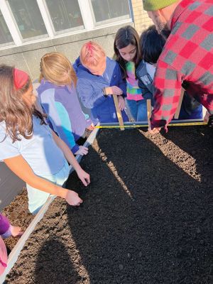 Sippican Elementary School
Sippican Elementary School third graders and Nate Sander of the Marion Institute plant garlic and clover during the Grow FTS program. The students learned about how the sun and soil work together to produce an environment conducive for a plant to grow and thrive. Photos courtesy ORR District 
