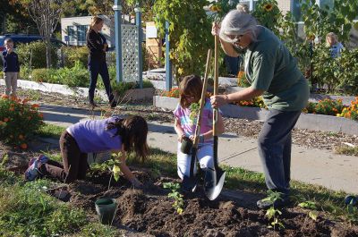 Sippican-School-Garden-2
