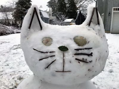 Snow Cat
There wasn’t a lot of accumulation with the snow that fell on the weekend over the coast as the storm started with rain, but there was enough snow on Brandt Beach in Mattapoisett for a family to have some fun creating this feline creature with seashell eyes. He even has a tail. Photo courtesy Noi Sabal
