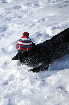 Snow Days
Tri-Town kids have had a lot of free time to enjoy the snow, with three canceled snow days within one week. Many took to the hills with their sleds over the weekend to do some winter reveling before Monday’s icy mess moved into the area. Photos by Felix Perez
