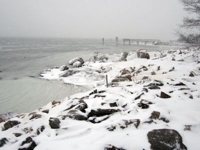 Blizzard of 2013
Pictures taken during the storm show the devastation of the driving winds and wet snow in the area of Harbor Beach in Mattapoisett. Photos by Diane Garde
