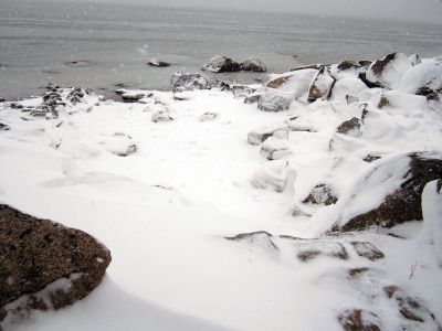 Blizzard of 2013
Pictures taken during the storm show the devastation of the driving winds and wet snow in the area of Harbor Beach in Mattapoisett. Photos by Diane Garde
